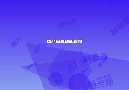 国产白兰地能喝吗