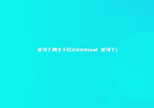 圣马丁勇士干红2009(ual 圣马丁)
