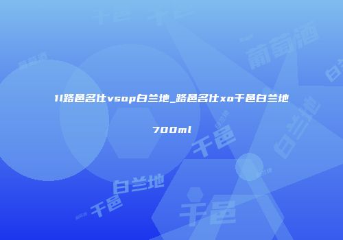1l路邑名仕vsop白兰地_路邑名仕xo干邑白兰地700ml