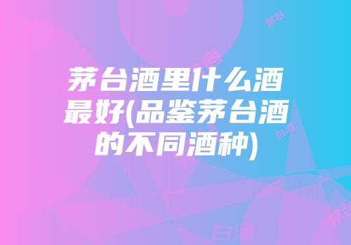 茅台酒里什么酒最好(品鉴茅台酒的不同酒种)